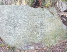 Great North Walk Bush Walking & Hiking
